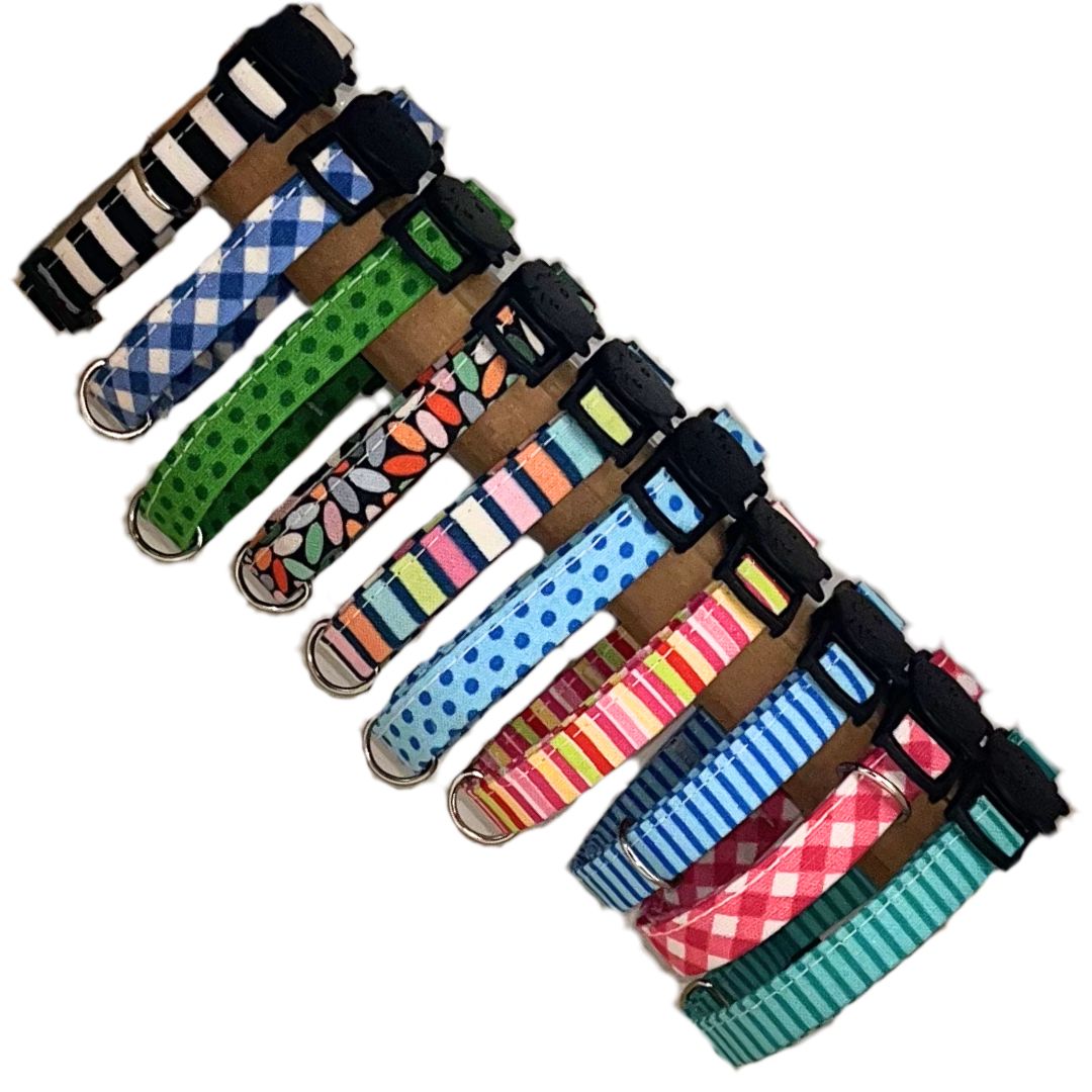 Modern Designer Cat Collar