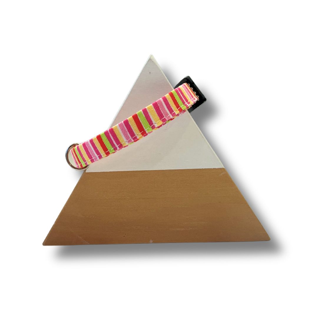 Modern Designer Cat Collar