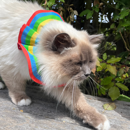 Cat Scrunchie with Reflective tape  - Bird Protector